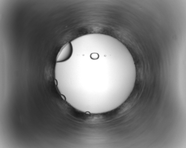 X0000088090274200706081756