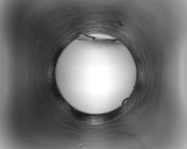 X0000088090275200706081756