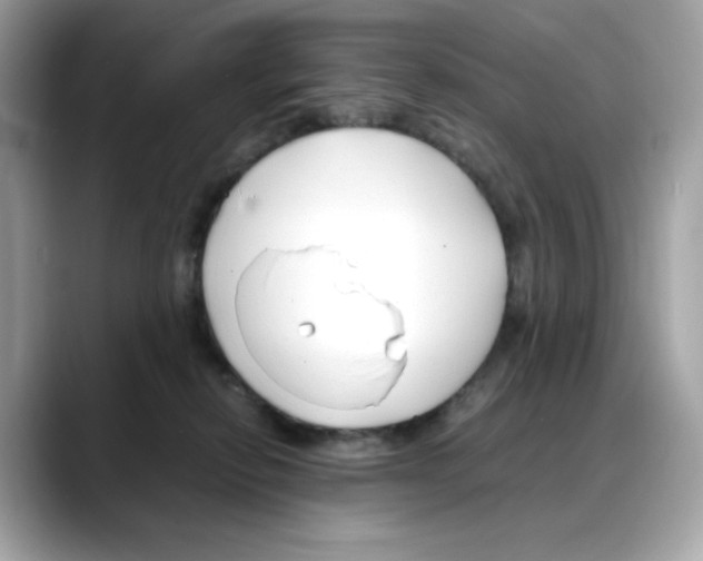 X0000088090278200706081756