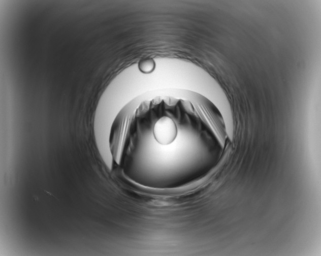 X0000088090280200706081756