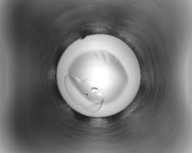 X0000088090281200706081756