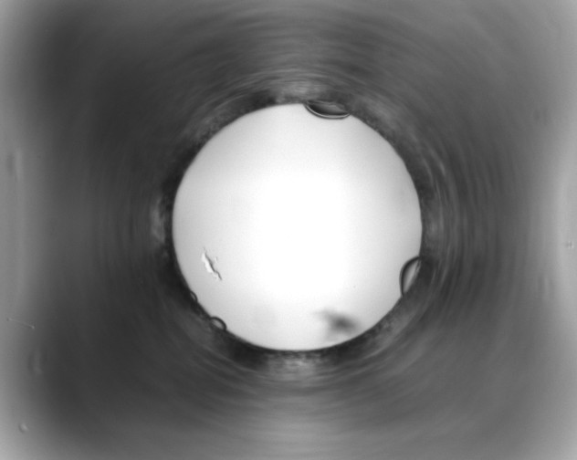 X0000088090282200706081756