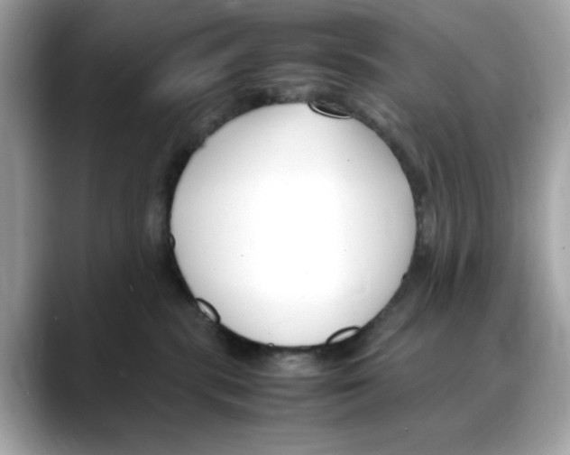 X0000088090283200706081756