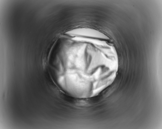 X0000088090285200706081756