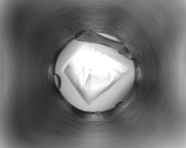 X0000088090286200706081756