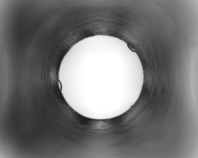 X0000088090287200706081756