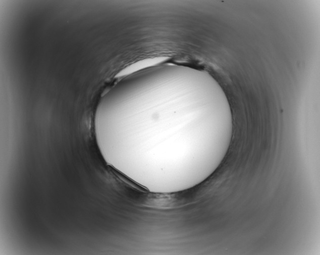 X0000088090288200706081756