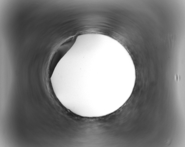 X0000088090289200706081755