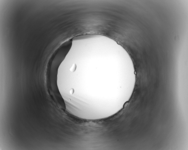 X0000088090290200706081755