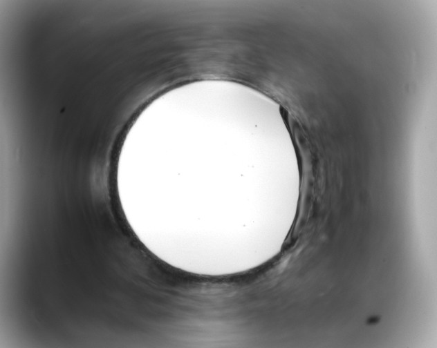 X0000088090292200706081755