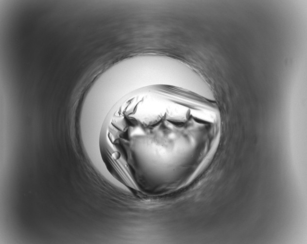 X0000088090293200706081755
