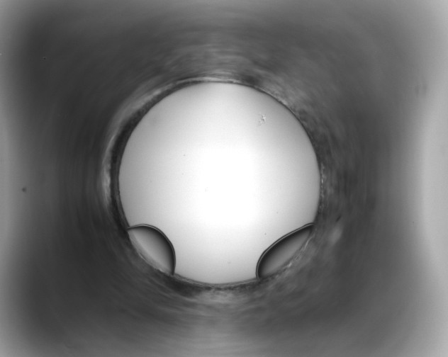 X0000088090294200706081755
