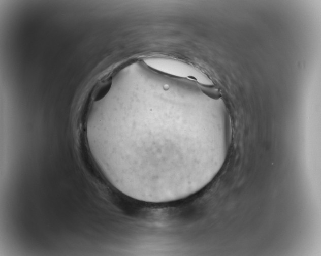 X0000088090295200706081755