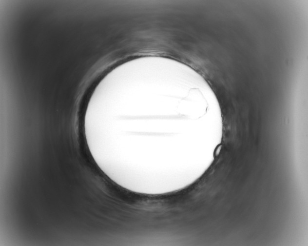 X0000088090296200706081755