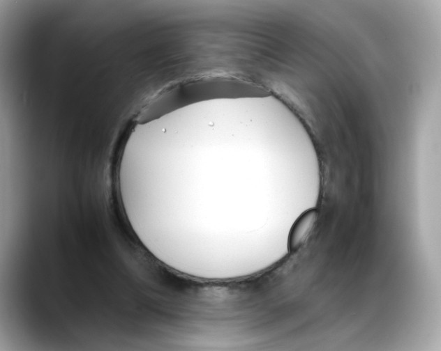 X0000088090298200706081755
