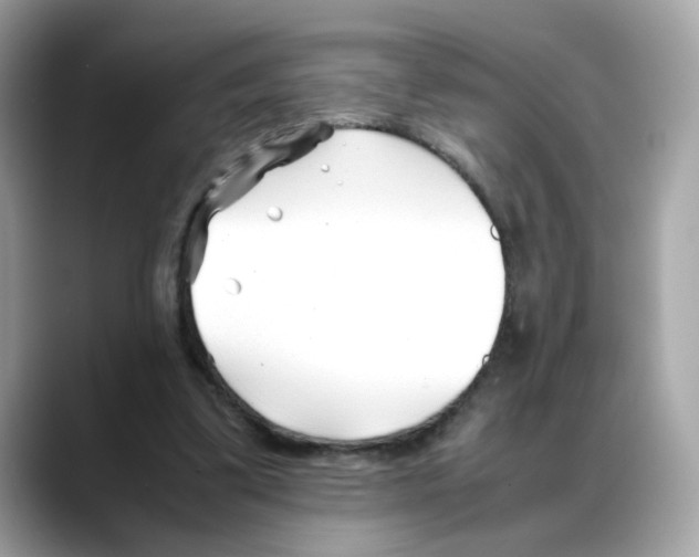 X0000088090299200706081755