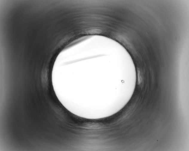 X0000088090300200706081755