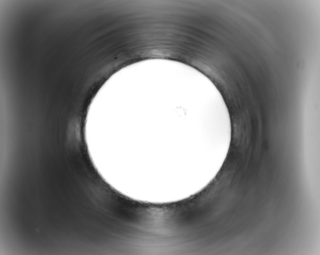 X0000088090302200706081755