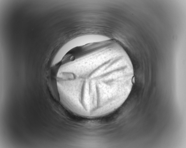X0000088090303200706081755
