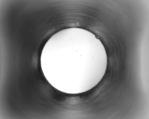X0000088090304200706081755