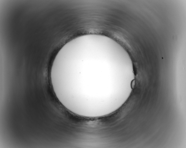 X0000088090306200706081755