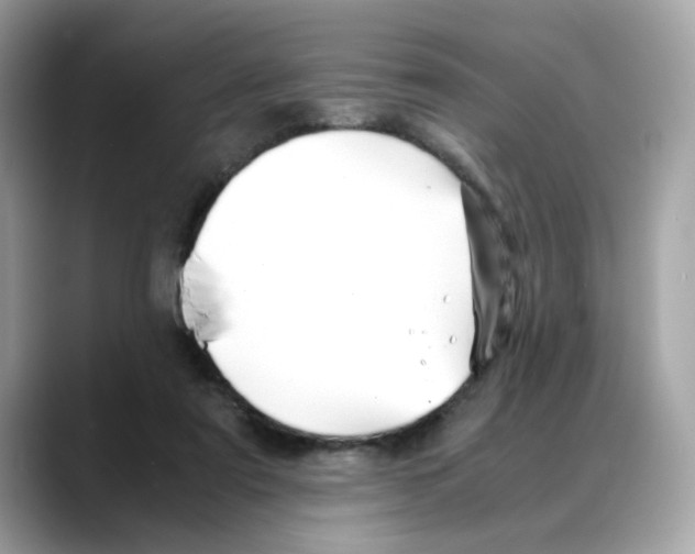 X0000088090307200706081755