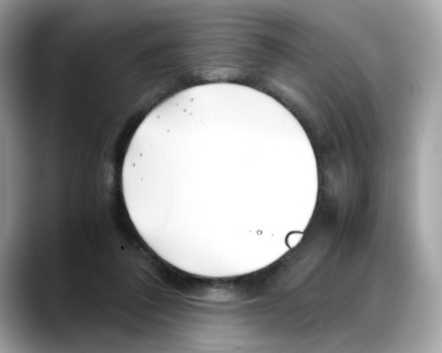 X0000088090308200706081755