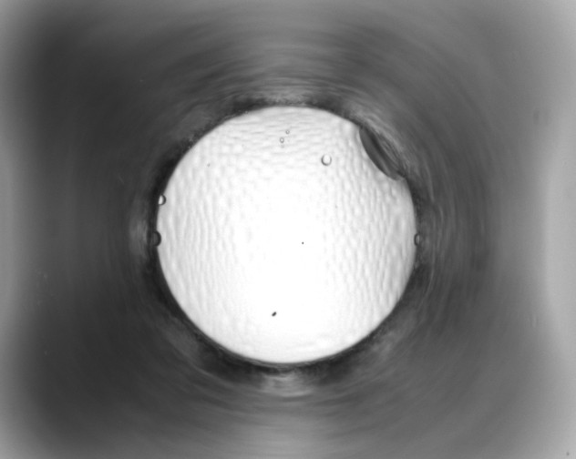 X0000088090309200706081755