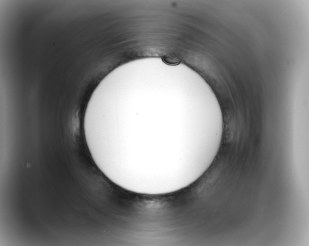 X0000088090310200706081755