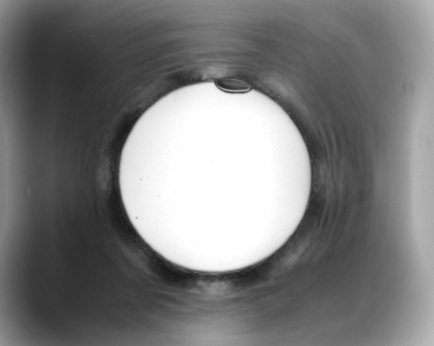 X0000088090311200706081755