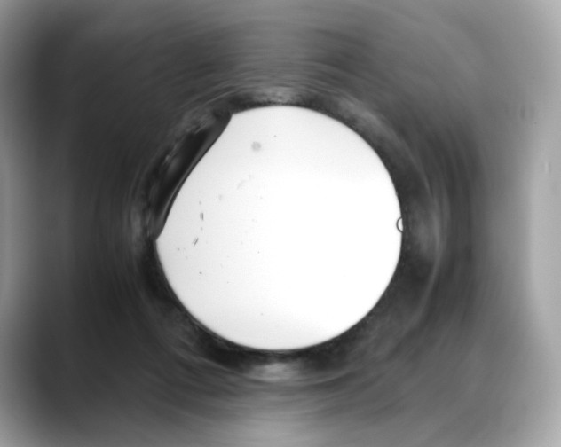 X0000088090312200706081755