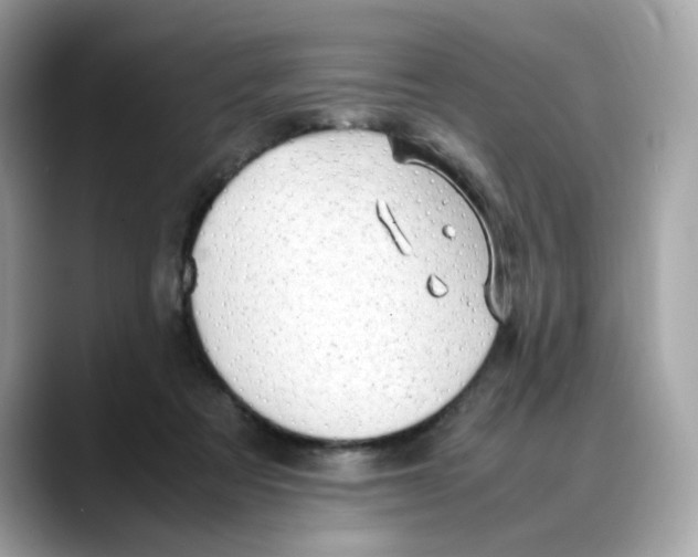 X0000088090313200706081755