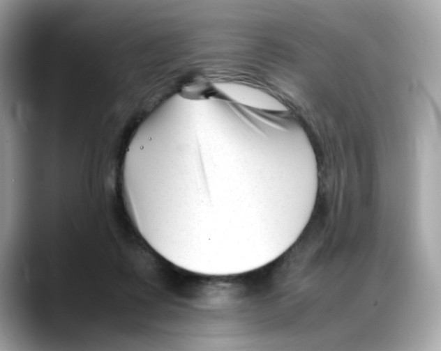 X0000088090315200706081755
