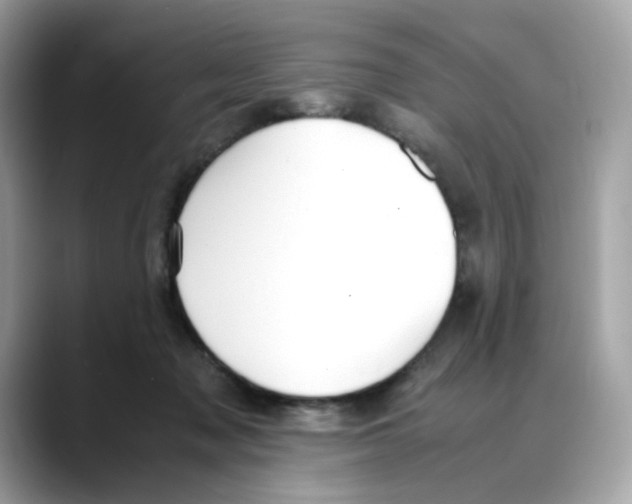 X0000088090317200706081755