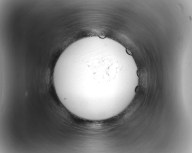 X0000088090318200706081755