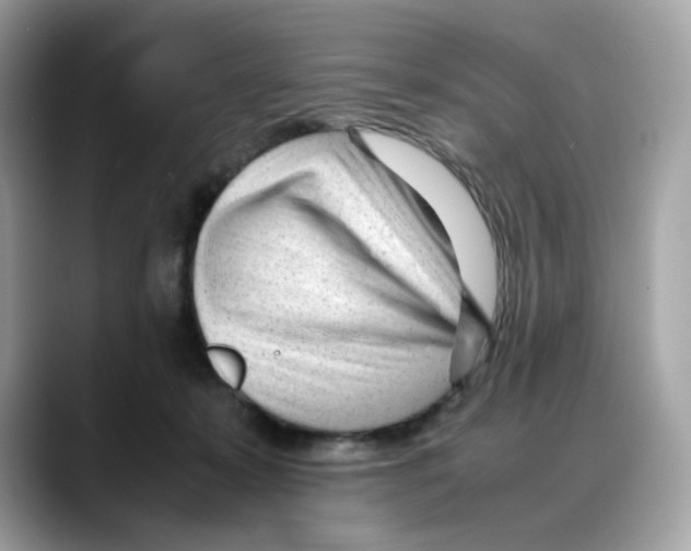 X0000088090319200706081755