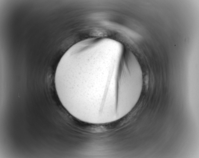 X0000088090322200706081755