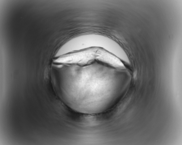 X0000088090325200706081755