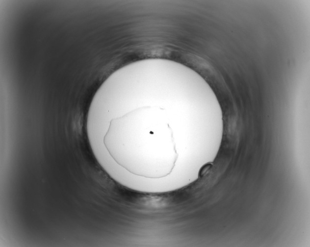 X0000088090326200706081755