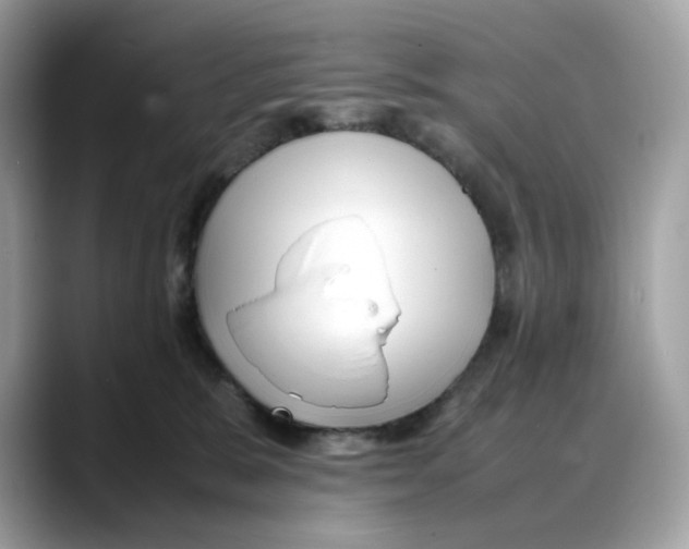 X0000088090327200706081755