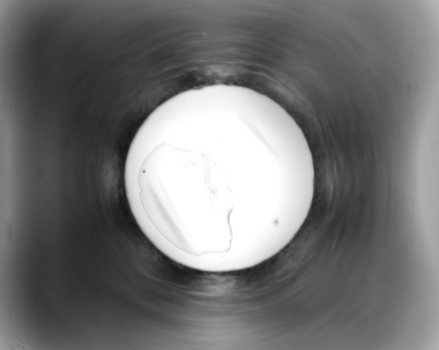 X0000088090328200706081755