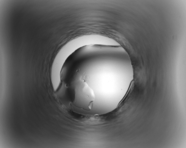 X0000088090329200706081755