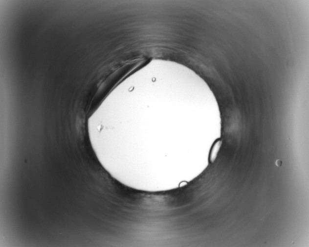 X0000088090332200706081755