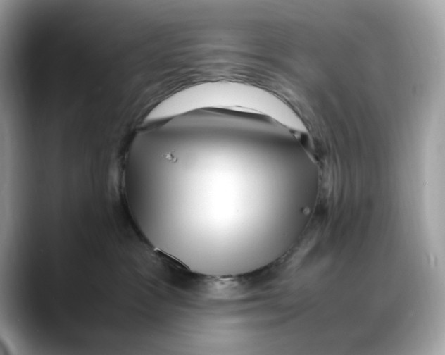 X0000088090333200706081755