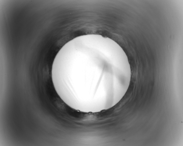 X0000088090335200706081755