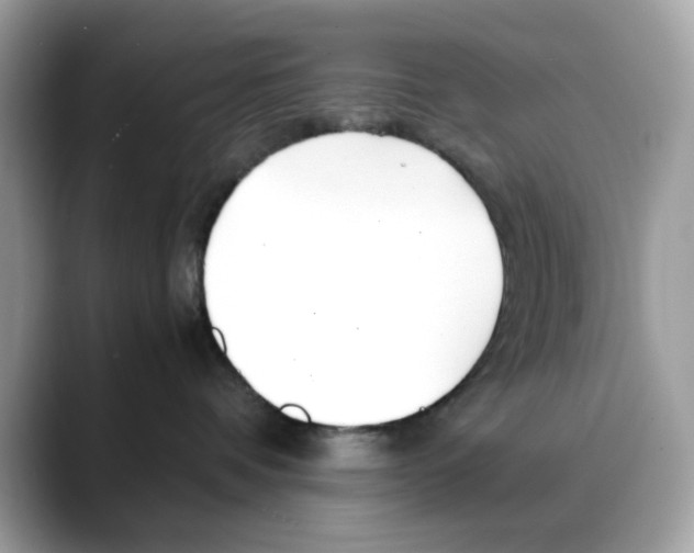 X0000088090336200706081755