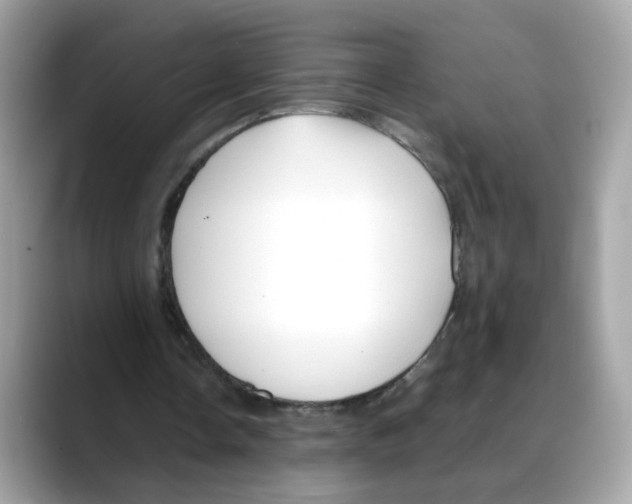 X0000088090338200706081754