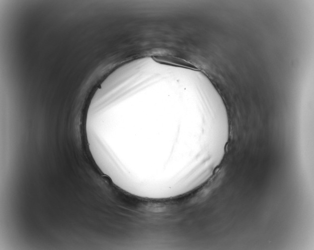 X0000088090341200706081754