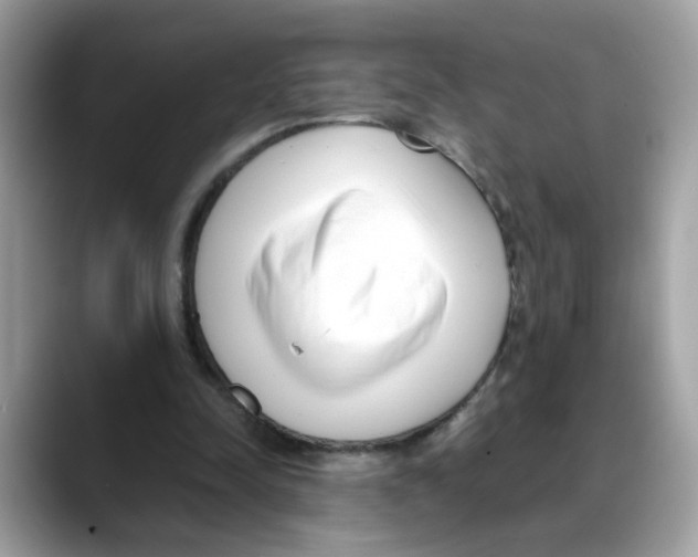 X0000088090342200706081754
