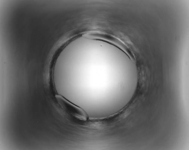X0000088090344200706081754